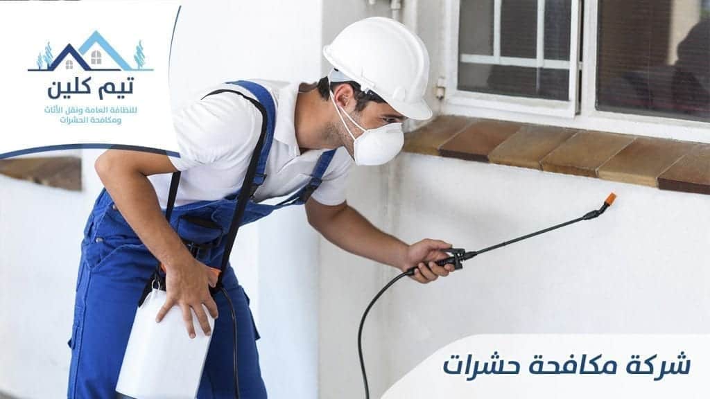 شركة مكافحة حشرات بالدمام