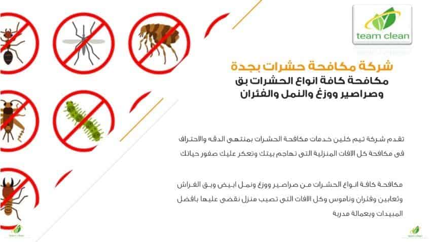 شركة مكافحة حشرات بجدة