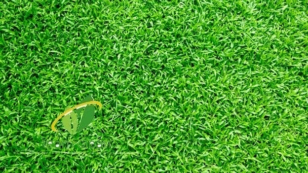 شركة تنسيق حدائق بالمدينة المنورة