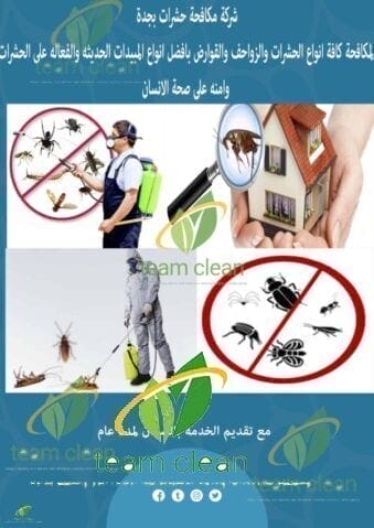 شركة مكافحة حشرات بجدة