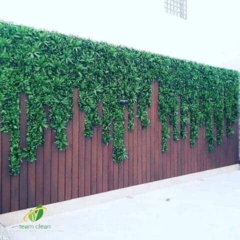 شركة تنسيق حدائق بجدة