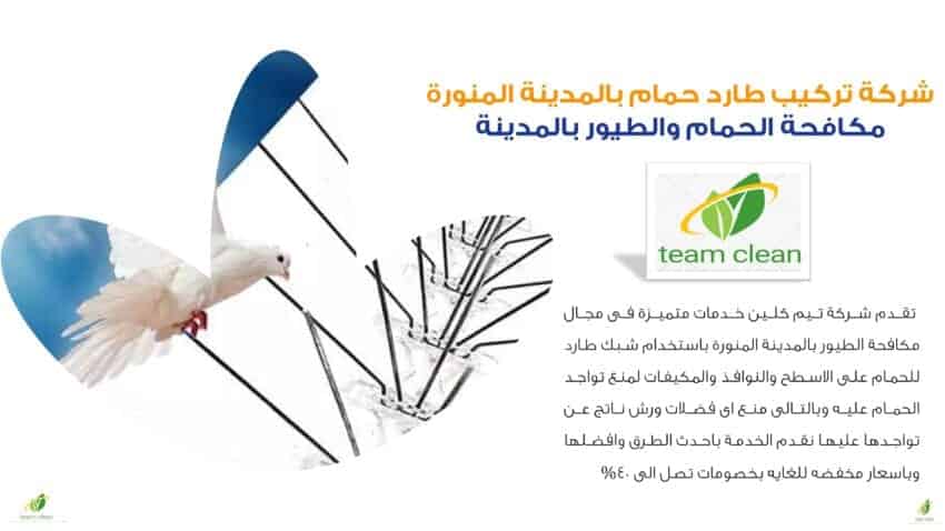 شركة تركيب طارد الحمام بالمدينة المنورة