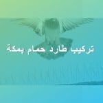 طارد حمام بمكة