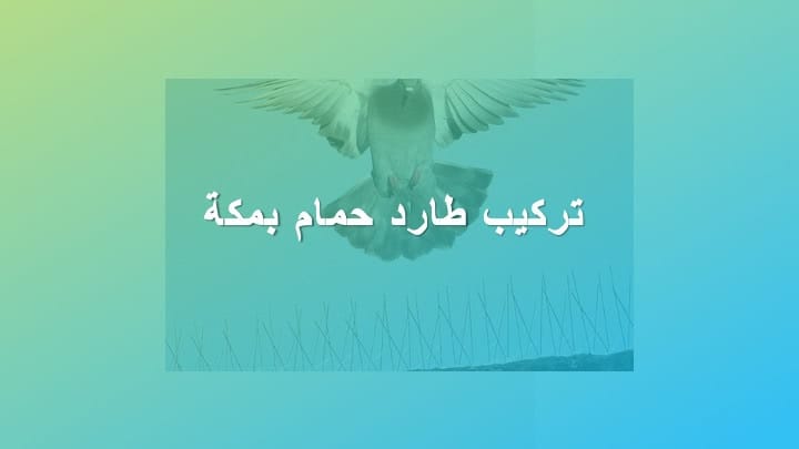 طارد حمام بمكة