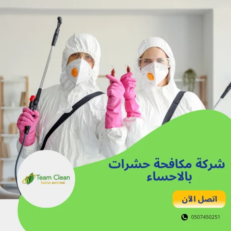 شركة مكافحة حشرات بالاحساء